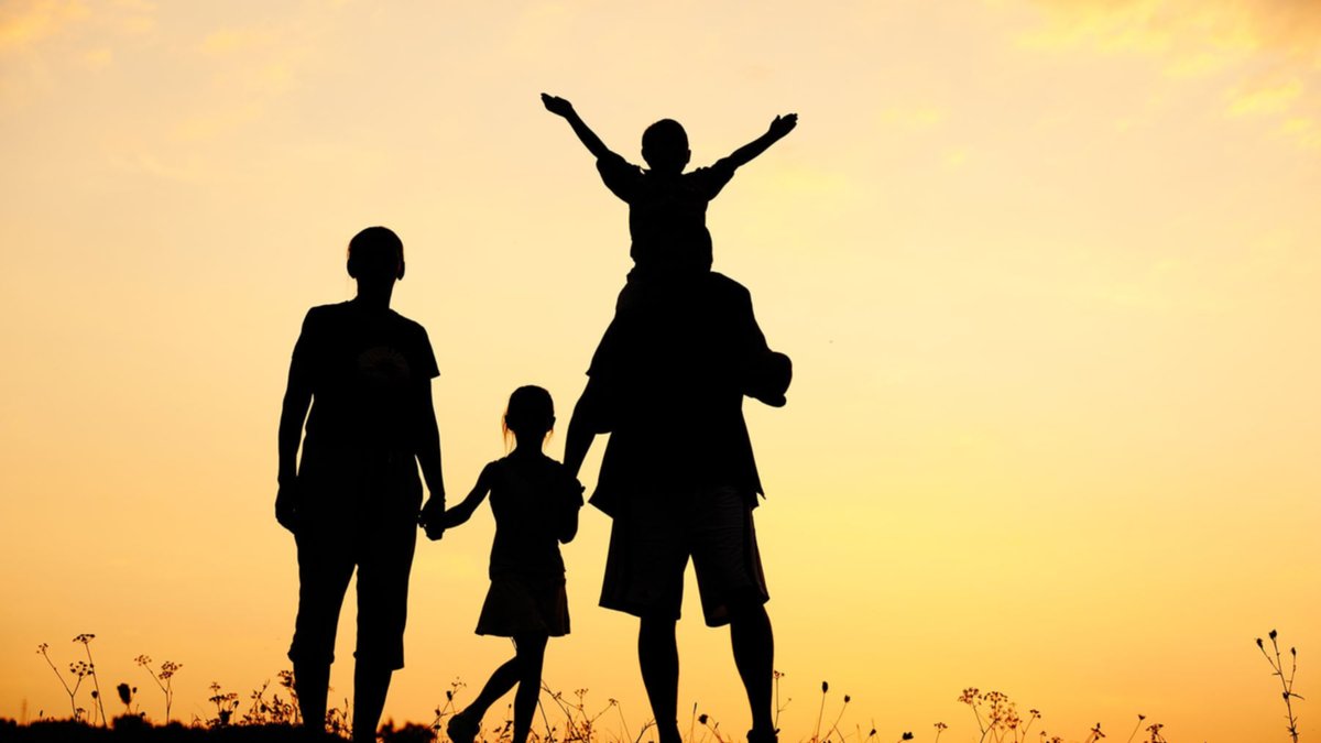 Las instituciones familiares en Venezuela: base legal y social de la convivencia